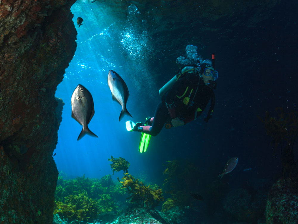 scuba diving